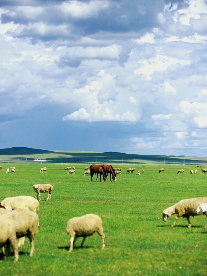 呼伦贝尔深度游,探寻小巷中的独特风情