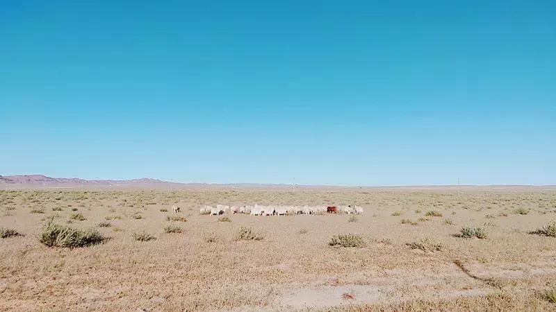 巴彦淖尔，地理、历史与文化的探索之旅